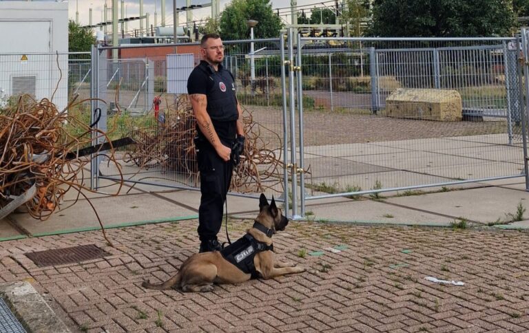 reaction_k9unit